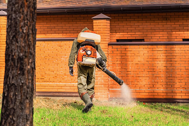 Trusted Termite Control service in Pleasant Run Farm, OH - Nex Pest Control